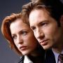     / X-files