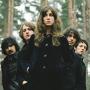    Zutons